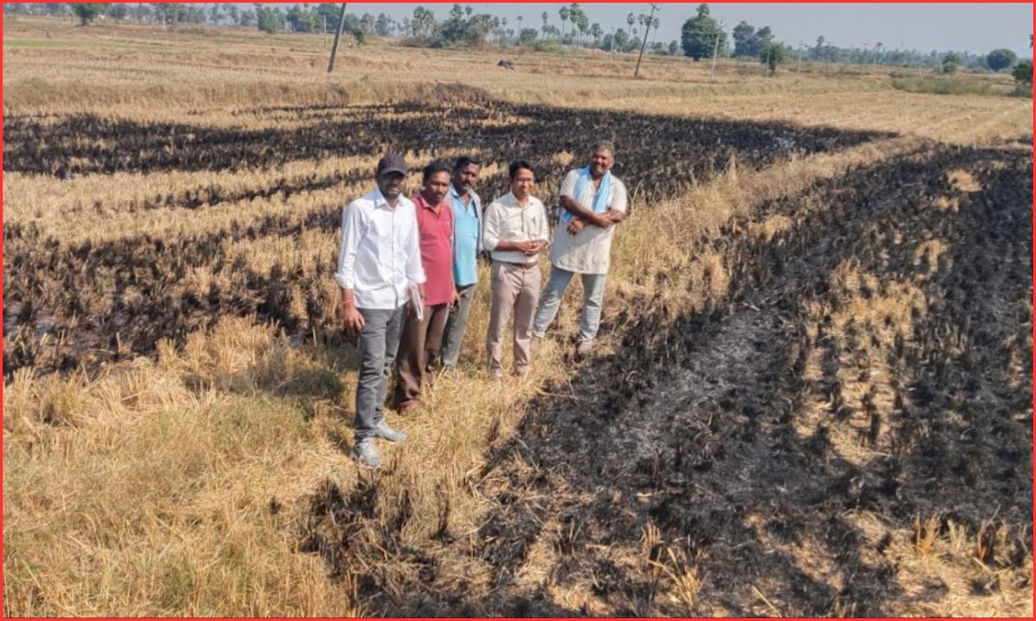 Telangana Agriculture Department Warns Farmers Against Burning Crop Residue