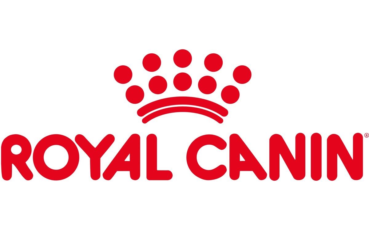 Persian cat nutrition, Persian cats India, breed-specific cat food, Persian cat diet, Royal Canin Persian cats, Persian cat health, Persian cat care tips, cat nutrition India, Persian cat food requirements, pet health India